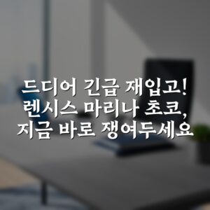 드디어 긴급 재입고! 렌시스 마리나 초코, 지금 바로 쟁여두세요